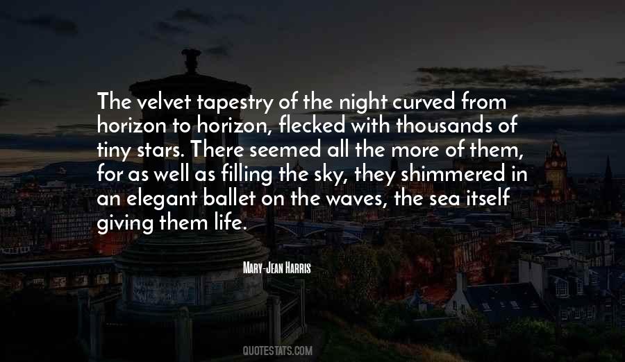 In The Night Sky Quotes #863281