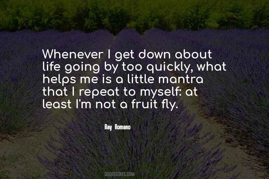 Fly Life Quotes #1720276
