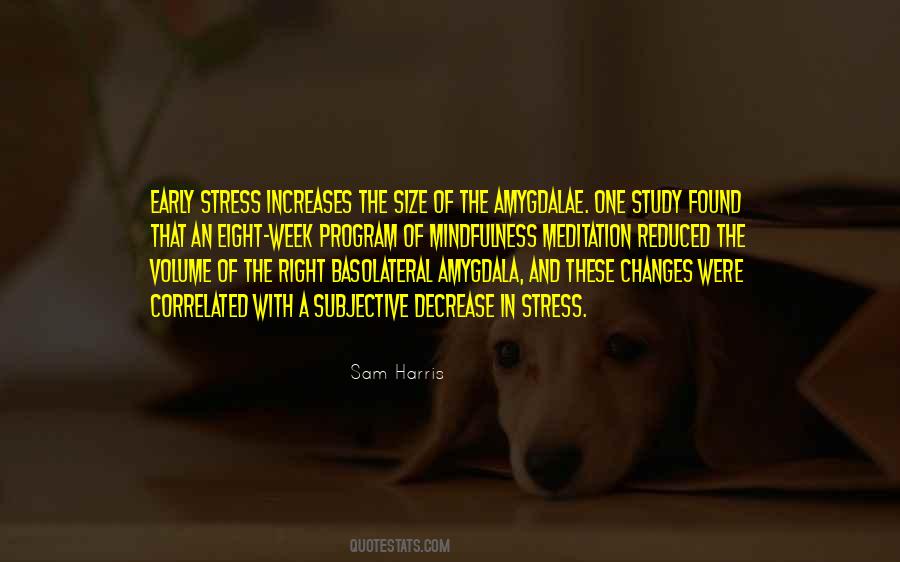 Meditation Stress Quotes #810073