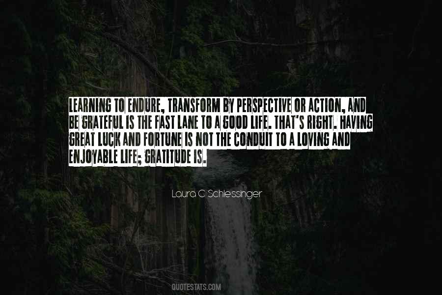 Good Perspective Quotes #1251589