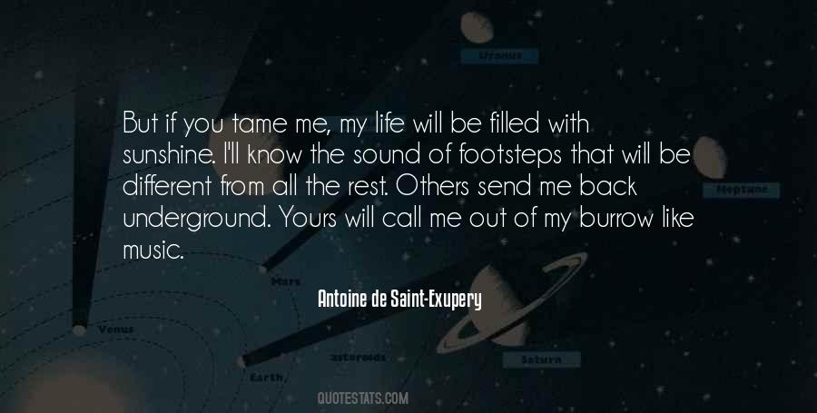 Different From Others Quotes #903434