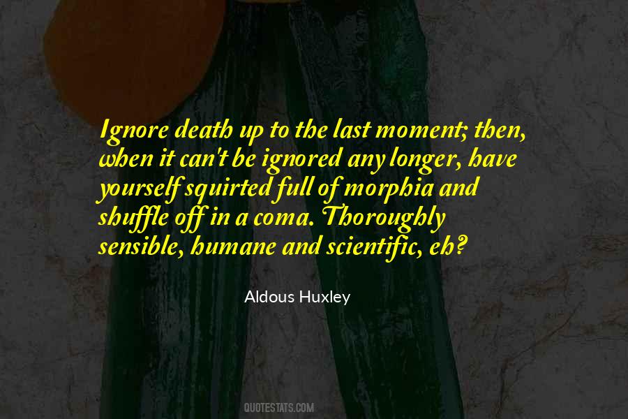 The Last Moment Quotes #1604271
