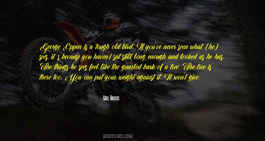 George Bird Quotes #401999