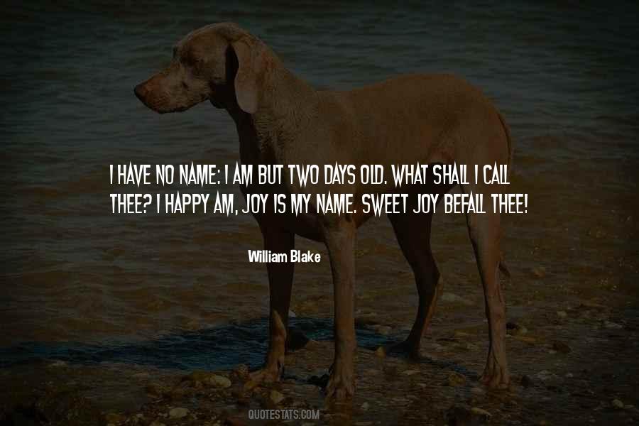 Happy Happy Joy Joy Quotes #1195610