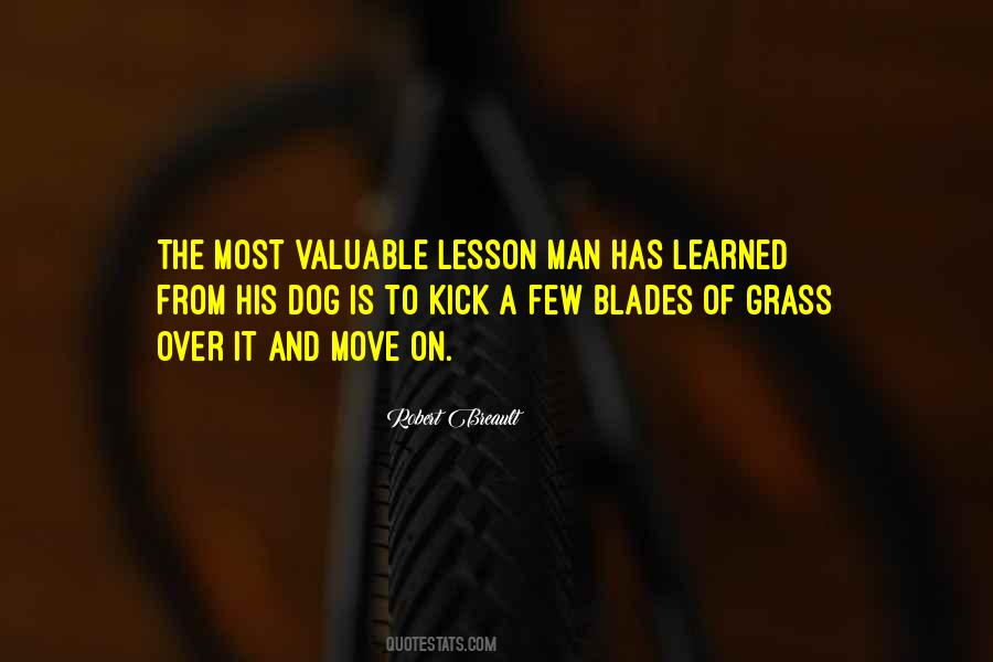 A Lesson Learned Quotes #1270489