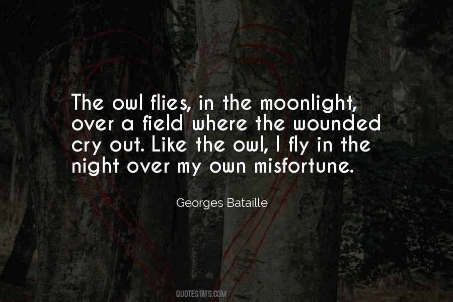 The Owl Quotes #769894
