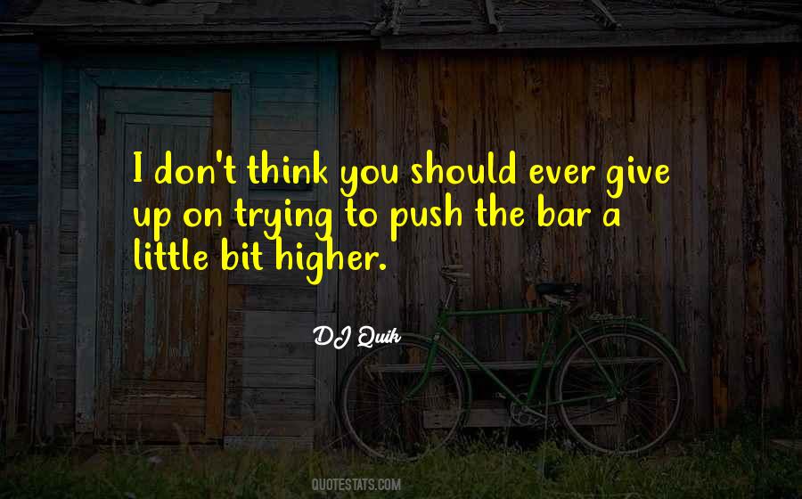 Quotes About Giving Up Trying #486022