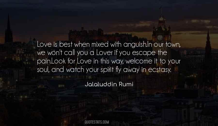 We Look For Love Quotes #1142603