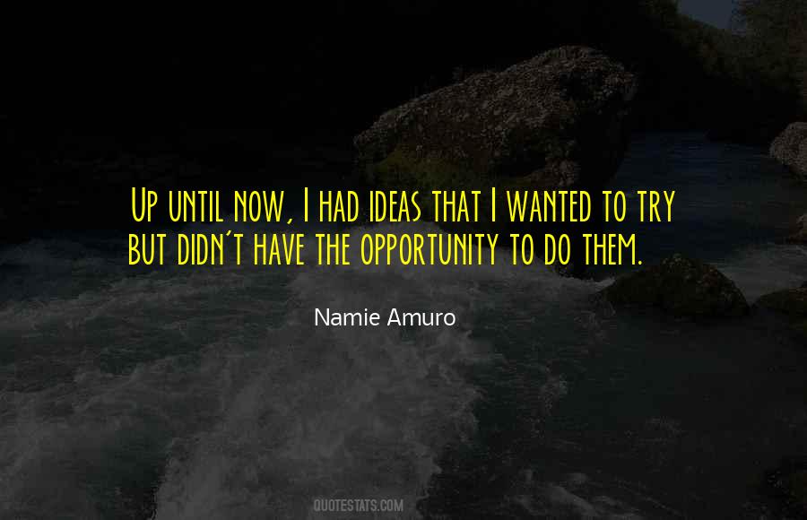 Have The Opportunity Quotes #1002568