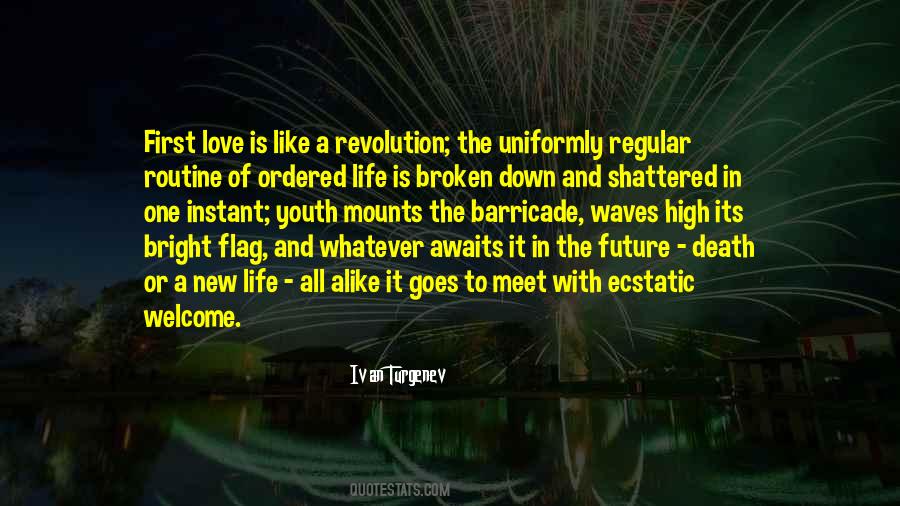 New Life New Love Quotes #871498