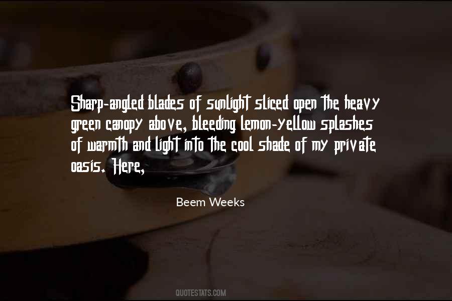 Shade Of Light Quotes #520181