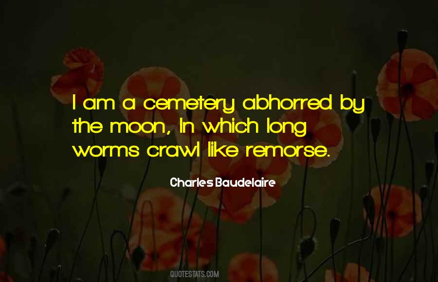 I Am Like The Moon Quotes #1109250