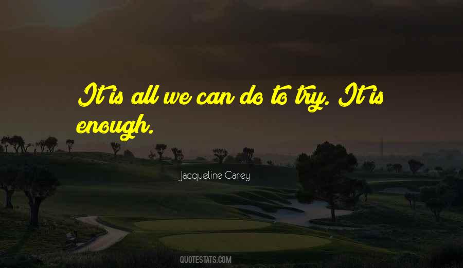 All We Can Do Is Try Quotes #139330