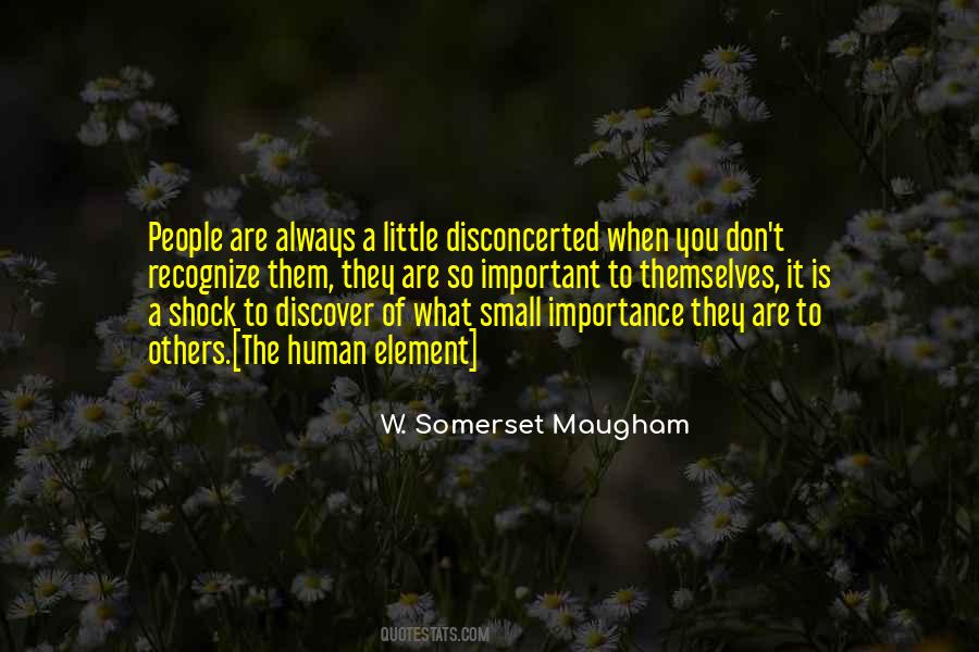 Quotes About The Importance Of Small Things #1053100