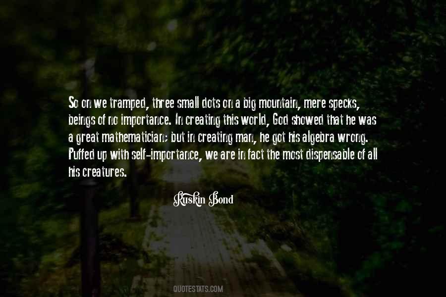 Quotes About The Importance Of Small Things #153663