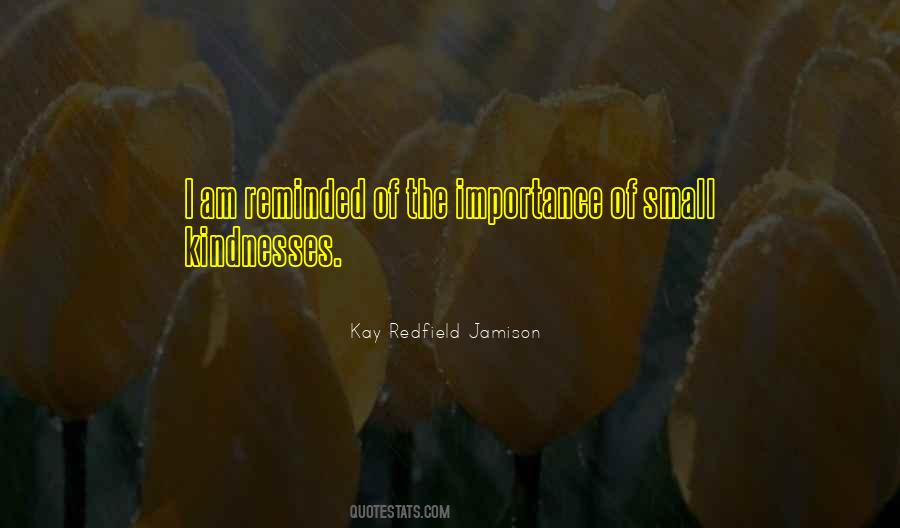 Quotes About The Importance Of Small Things #726828