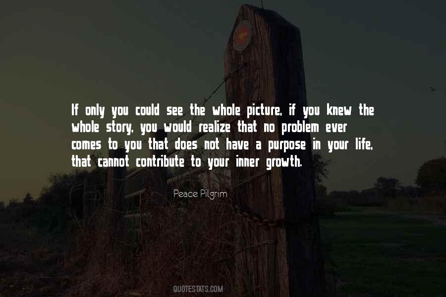 If You Could Only See Quotes #1627437