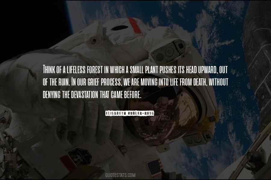 Small Plant Quotes #879685
