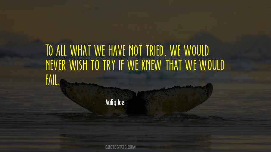 If You Knew You Could Not Fail Quotes #678444