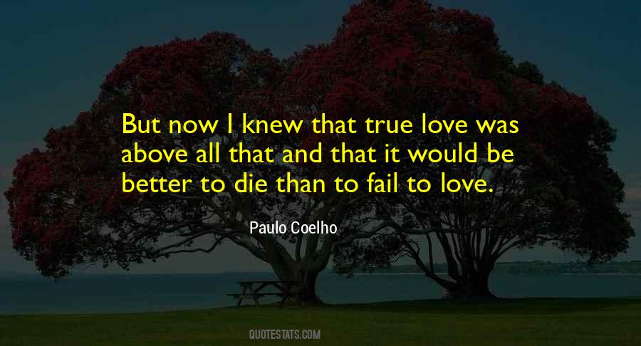 If You Knew You Could Not Fail Quotes #946326