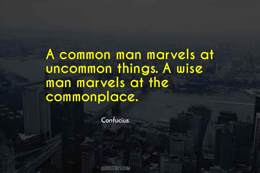 A Common Man Quotes #887548