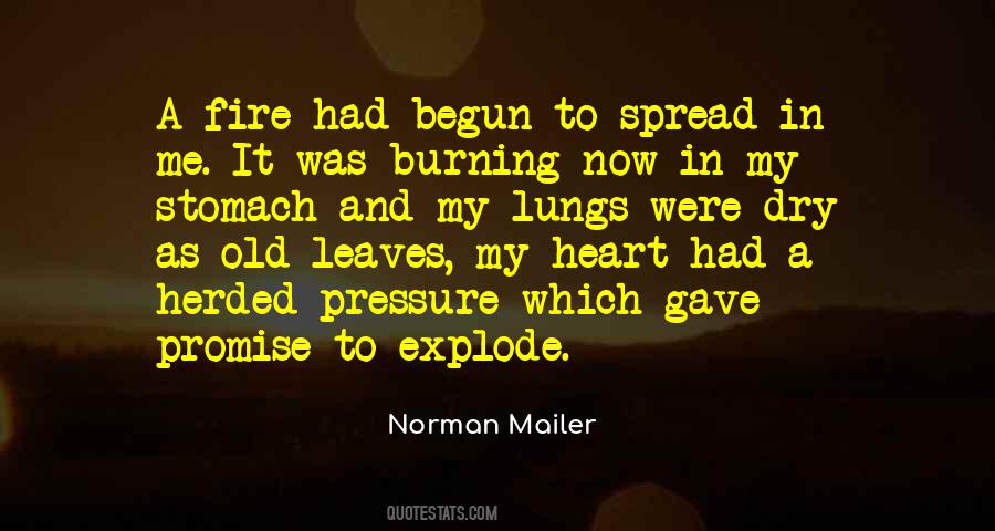 Quotes About A Fire Burning #1049150