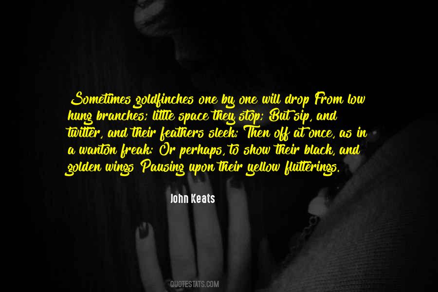 Black Yellow Quotes #425917
