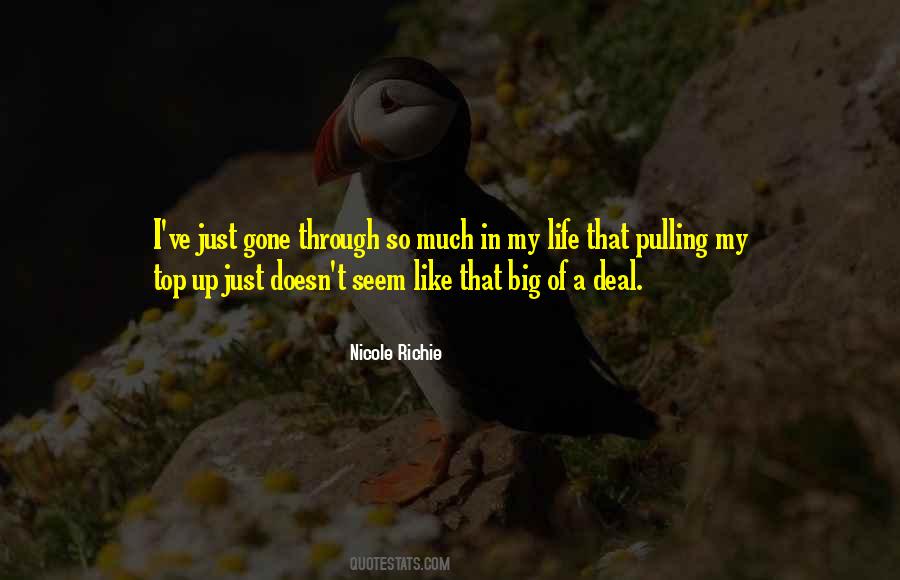 Gone Through So Much Quotes #1101050