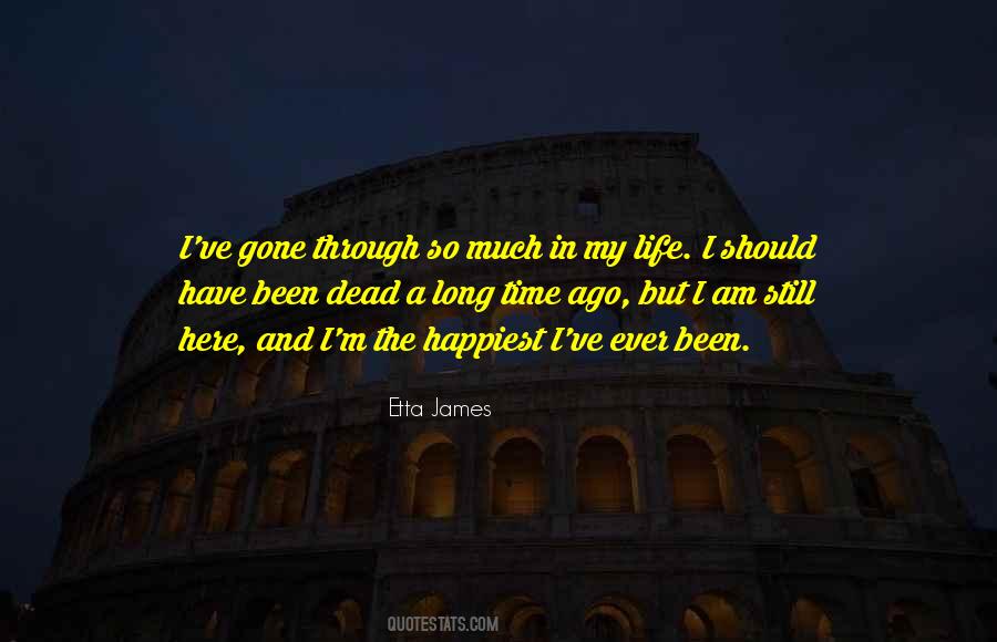Gone Through So Much Quotes #19946
