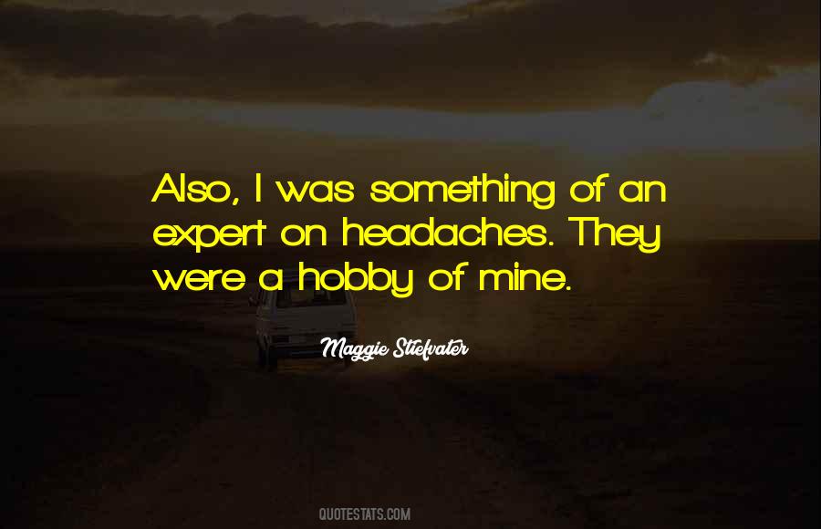 Quotes About A Hobby #1076560