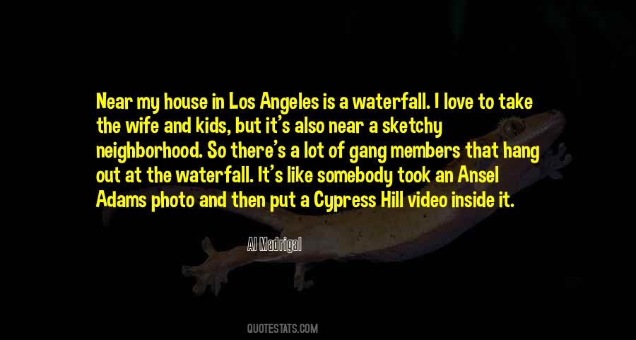 Love Video Quotes #615530