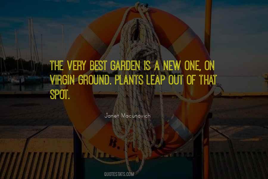 Plant A Garden Quotes #639190
