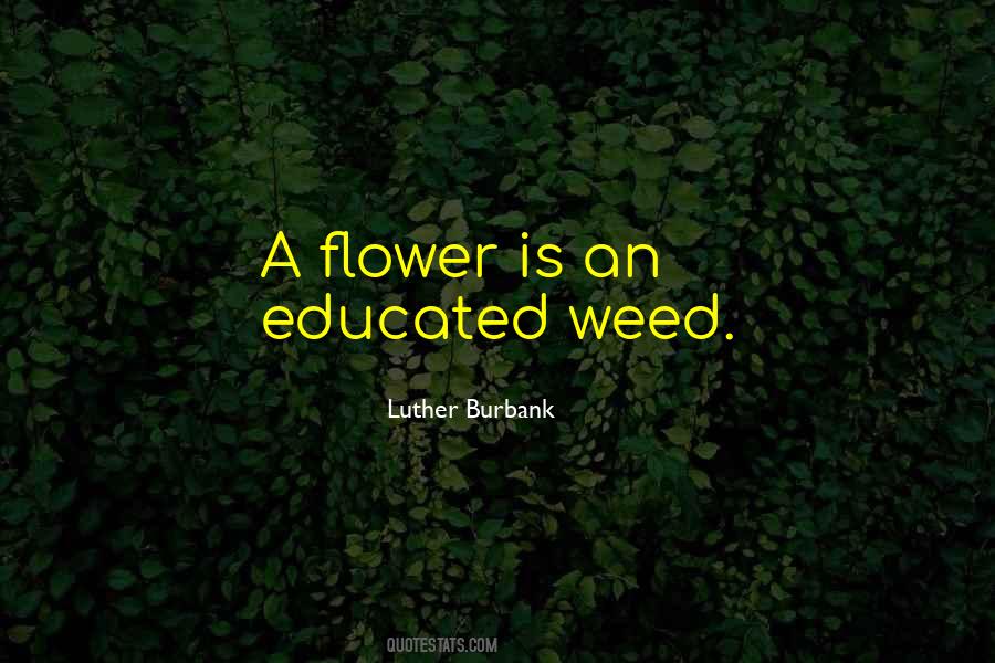 Weed Garden Quotes #1679064