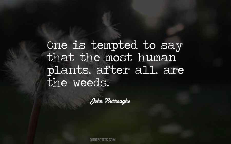 Weed Garden Quotes #482845