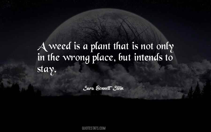 Weed Garden Quotes #782523