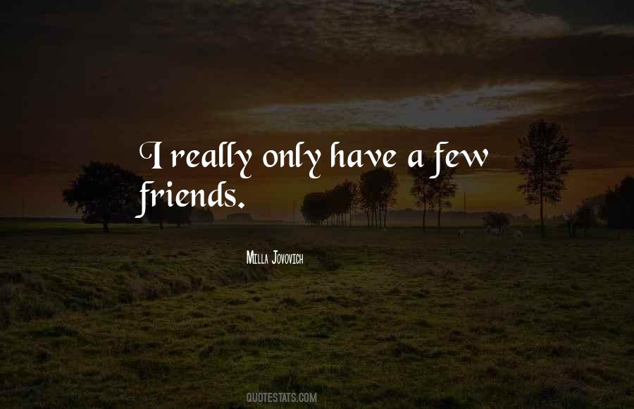 I Only Have A Few Friends Quotes #436984