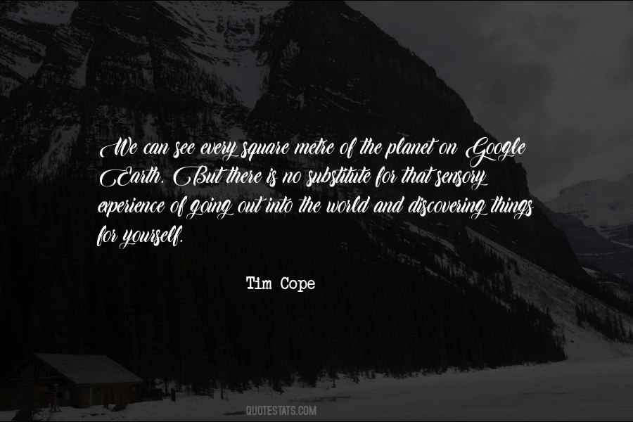 There Is No Substitute For Experience Quotes #1780240