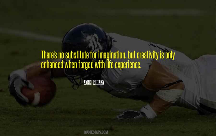 There Is No Substitute For Experience Quotes #622151