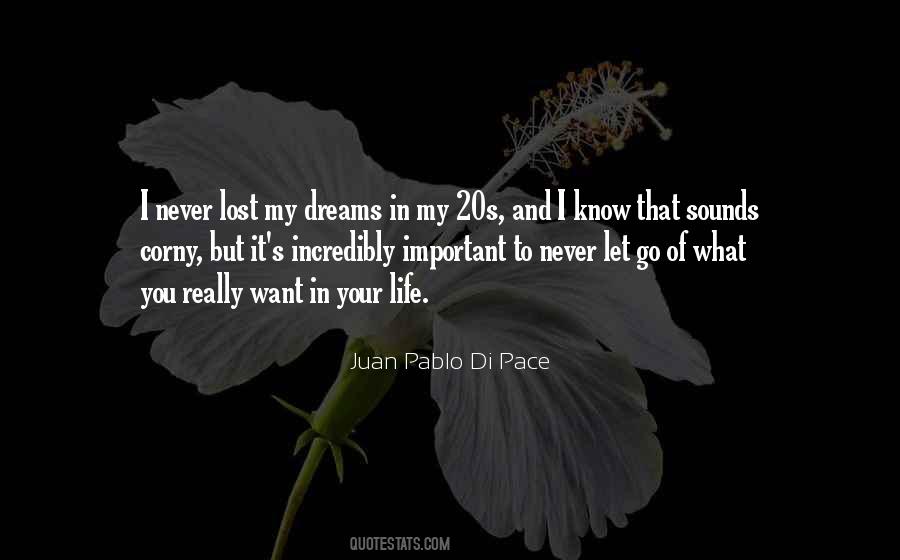 Lost In My Dreams Quotes #567955