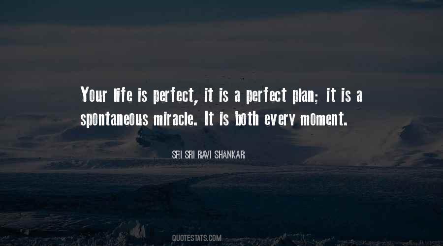 Perfect Plan Quotes #1764175