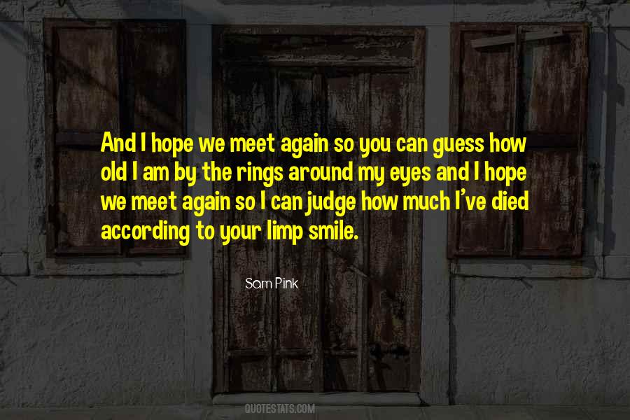 Hope We Will Meet Again Quotes #1026369