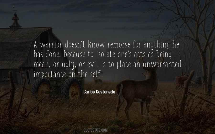 Being A Warrior Quotes #1639656