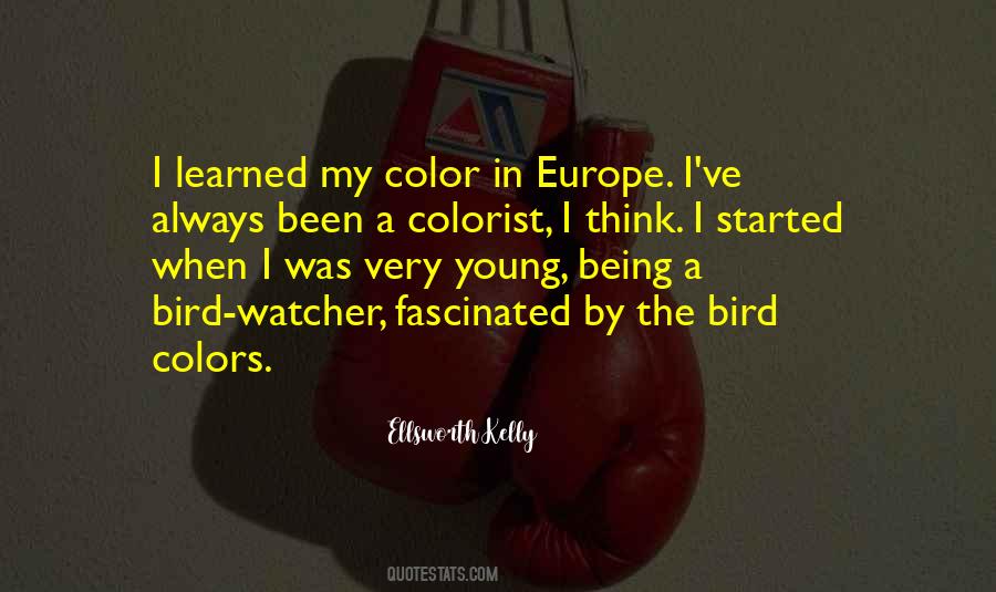 Young Bird Quotes #1020137
