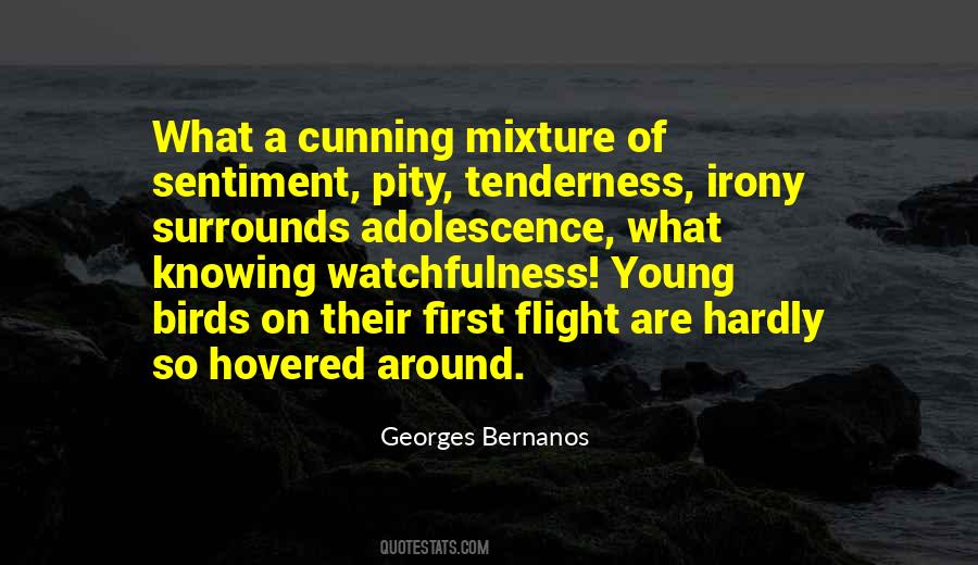 Young Bird Quotes #288443