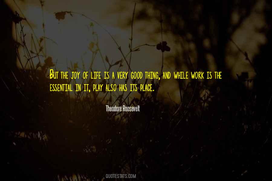 Quotes About Life And Play #173622