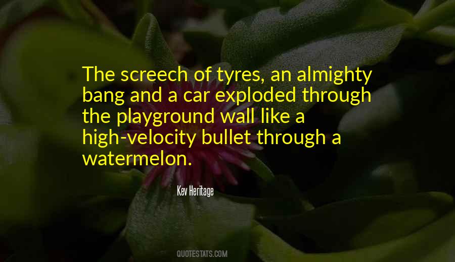 Travel Young Quotes #77311