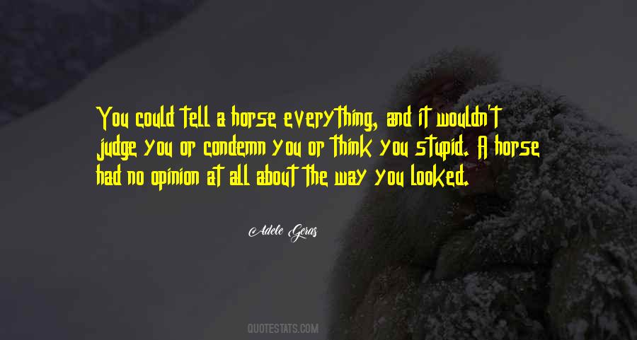 Stupid Horse Quotes #1160789
