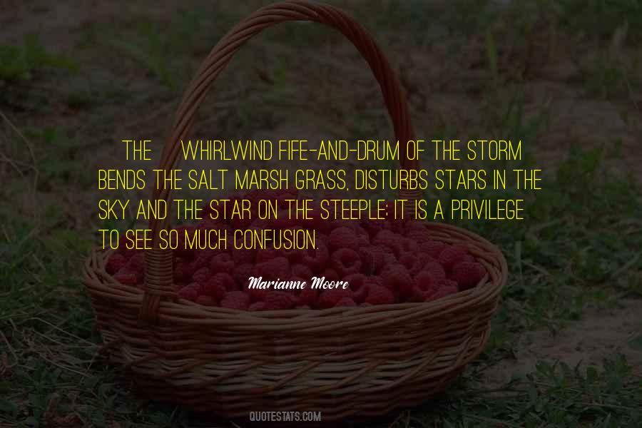In The Whirlwind Quotes #1850963