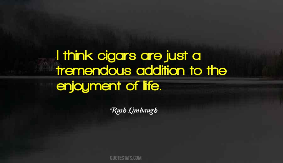 A Cigar Is Just A Cigar Quotes #96615