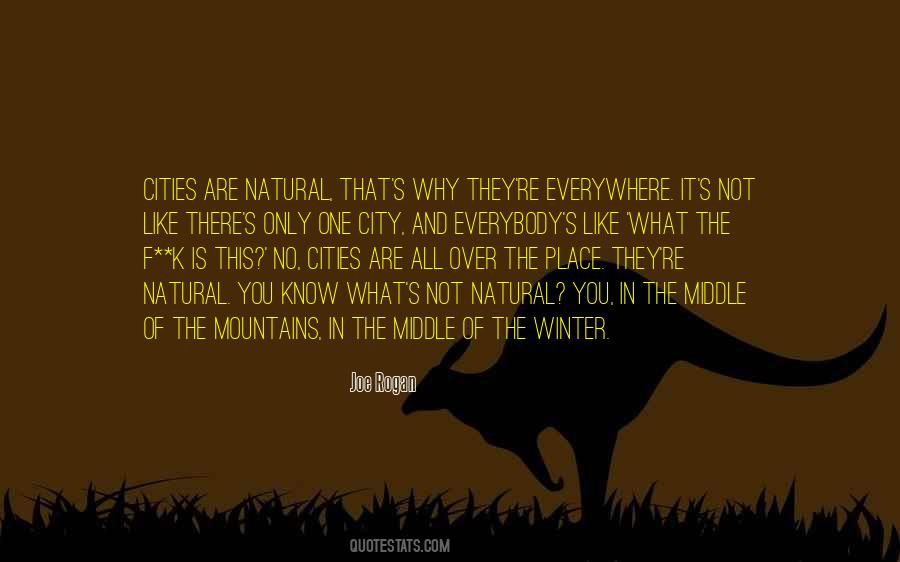 Winter In The City Quotes #271894